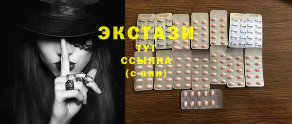 гидра Корсаков