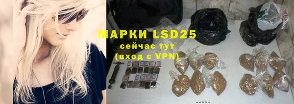 индика Костерёво