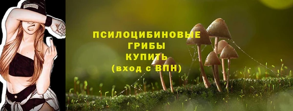 гидра Корсаков