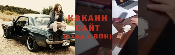 индика Костерёво