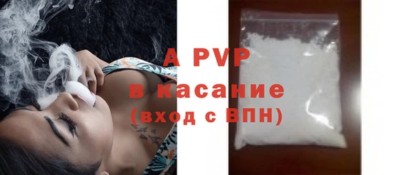 гидра Корсаков