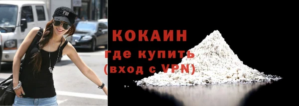 индика Костерёво