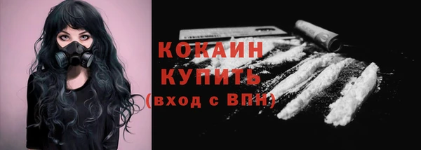 гидра Корсаков