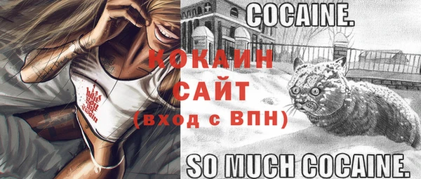 гидра Корсаков