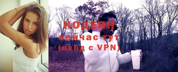 индика Костерёво