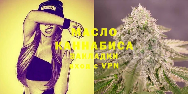 гидра Корсаков