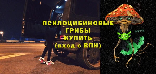 индика Костерёво