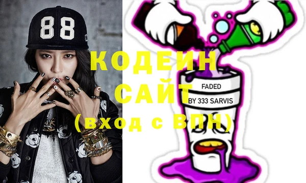 индика Костерёво