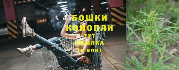 индика Костерёво