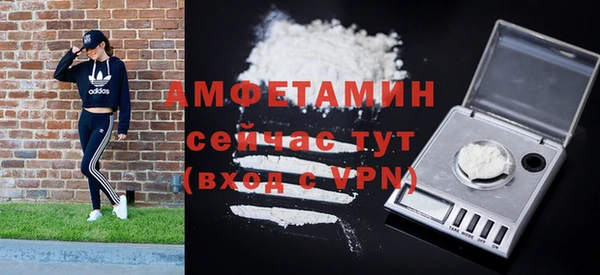 индика Костерёво