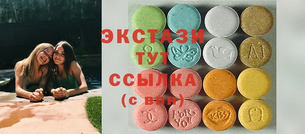 индика Костерёво