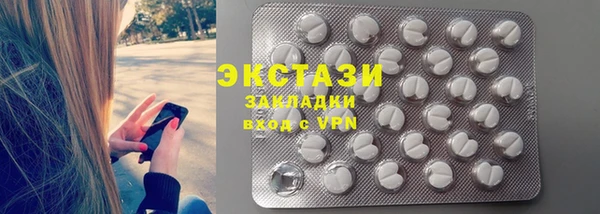 индика Костерёво