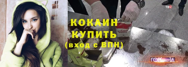 гидра Корсаков