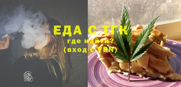 индика Костерёво