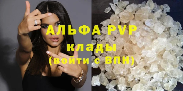 гидра Корсаков