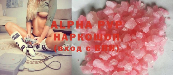 гидра Корсаков