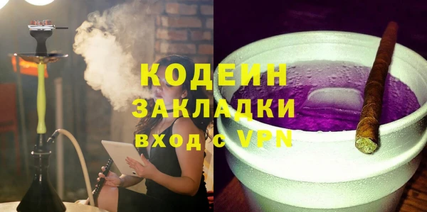 гидра Корсаков