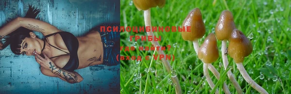 индика Костерёво